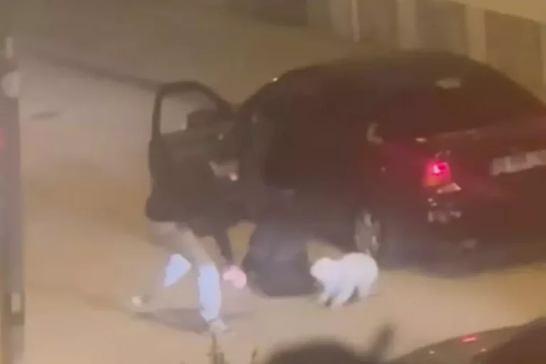 Ankara'da Kadın ve Köpeği Darbedilip Kaçırılmak İstenirken Mahalleli Kurtardı